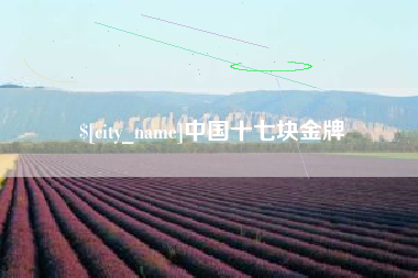 阜阳中国十七块金牌