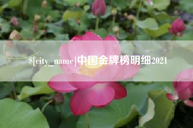 阜阳中国金牌榜明细2021