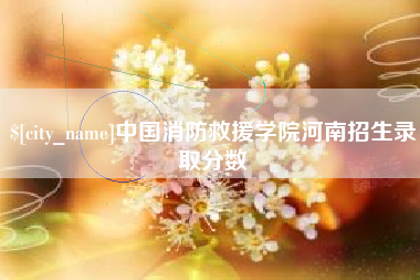 阜阳中国消防救援学院河南招生录取分数