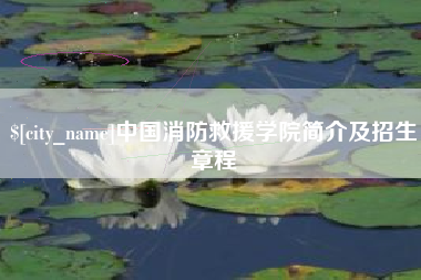 阜阳中国消防救援学院简介及招生章程