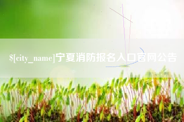 阜阳宁夏消防报名入口官网公告