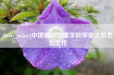 阜阳中国消防救援学院毕业之后怎么工作
