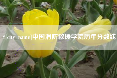 阜阳中国消防救援学院历年分数线