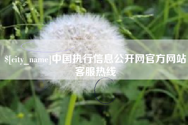 阜阳中国执行信息公开网官方网站客服热线