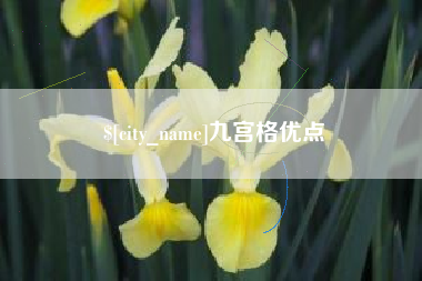 阜阳九宫格优点