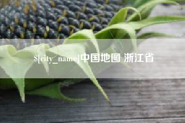 阜阳中国地图 浙江省