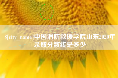 阜阳中国消防救援学院山东2020年录取分数线是多少