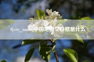 阜阳中国地图空白框是什么