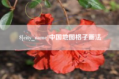 阜阳中国地图格子画法