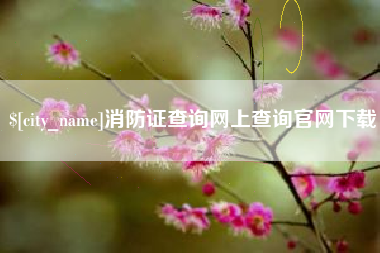 阜阳消防证查询网上查询官网下载