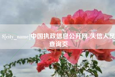 阜阳中国执政信息公开网-失信人员查询页