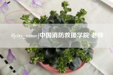 阜阳中国消防救援学院 老师