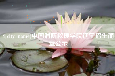 阜阳中国消防救援学院辽宁招生简章公示