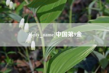阜阳中国第9金