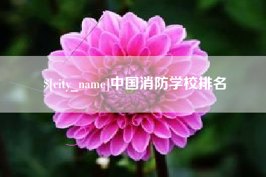 阜阳中国消防学校排名