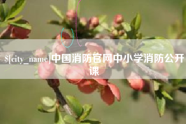 阜阳中国消防官网中小学消防公开课