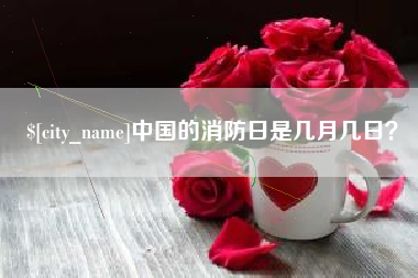 阜阳中国的消防日是几月几日？