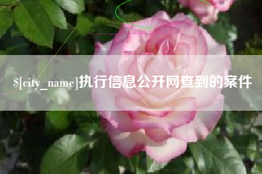 阜阳执行信息公开网查到的案件
