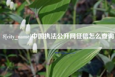 阜阳中国执法公开网征信怎么查询
