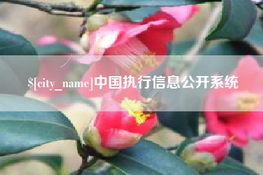 阜阳中国执行信息公开系统