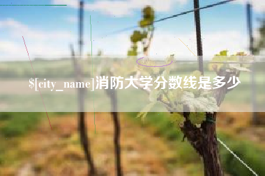 阜阳消防大学分数线是多少