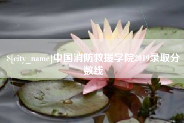 阜阳中国消防救援学院2019录取分数线