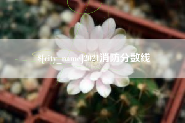 阜阳2021消防分数线
