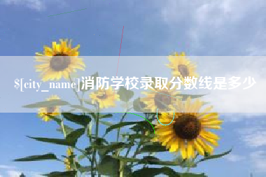 阜阳消防学校录取分数线是多少