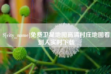 阜阳免费卫星地图高清村庄地图看到人实时下载