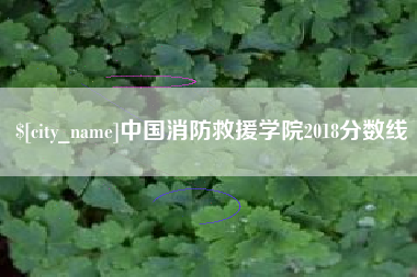 阜阳中国消防救援学院2018分数线