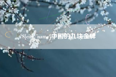 阜阳中国的九块金牌