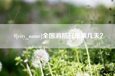 阜阳全国消防日是第几天？