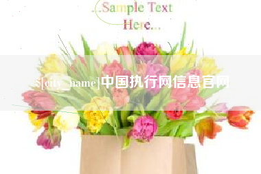 阜阳中国执行网信息官网