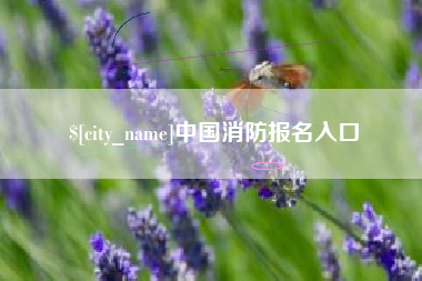 阜阳中国消防报名入口