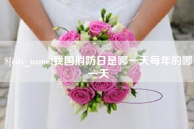 阜阳我国消防日是哪一天每年的哪一天