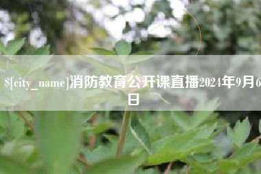 阜阳消防教育公开课直播2024年9月6日