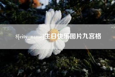 阜阳生日快乐图片九宫格
