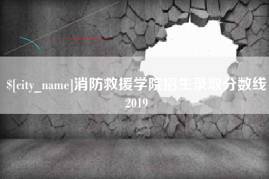 阜阳消防救援学院招生录取分数线2019
