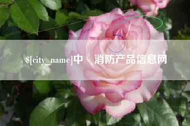 阜阳中囯消防产品信息网