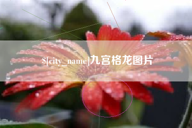 阜阳九宫格龙图片