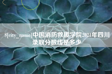 阜阳中国消防救援学院2021年四川录取分数线是多少
