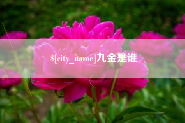 阜阳九金是谁