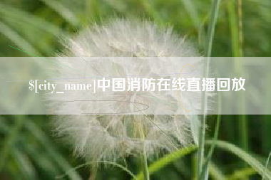阜阳中国消防在线直播回放