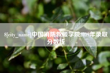 阜阳中国消防救援学院2019年录取分数线