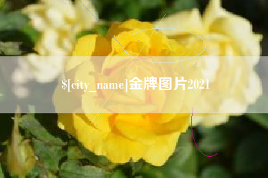 阜阳金牌图片2021