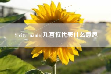 阜阳九宫位代表什么意思