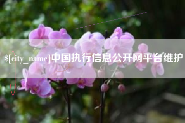 阜阳中国执行信息公开网平台维护