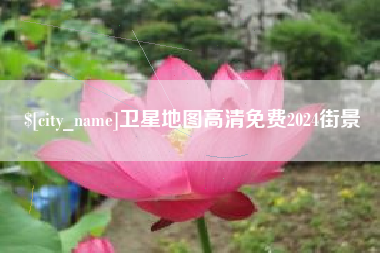 阜阳卫星地图高清免费2024街景