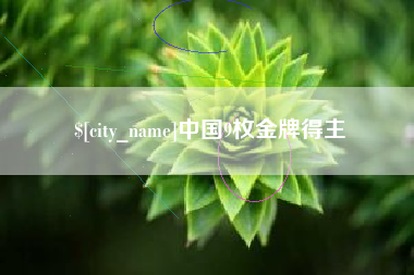 阜阳中国9枚金牌得主