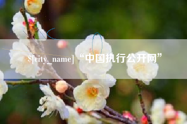 阜阳“中国执行公开网”